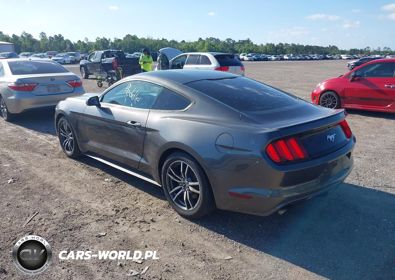 2017 Ford Mustang Ecoboost VIN:1FA6P8TH9H5312120 - 3