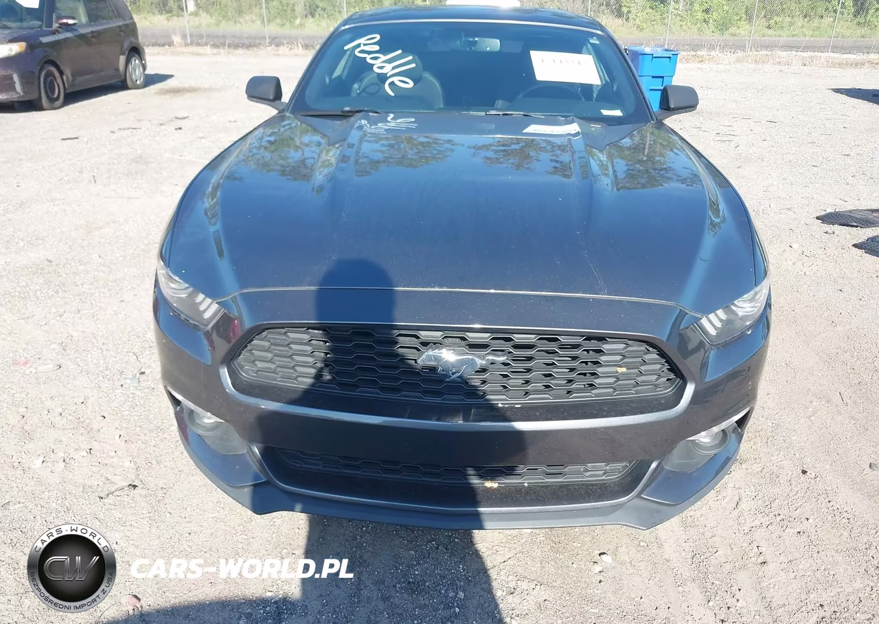 2017 Ford Mustang Ecoboost VIN:1FA6P8TH9H5312120 - 6