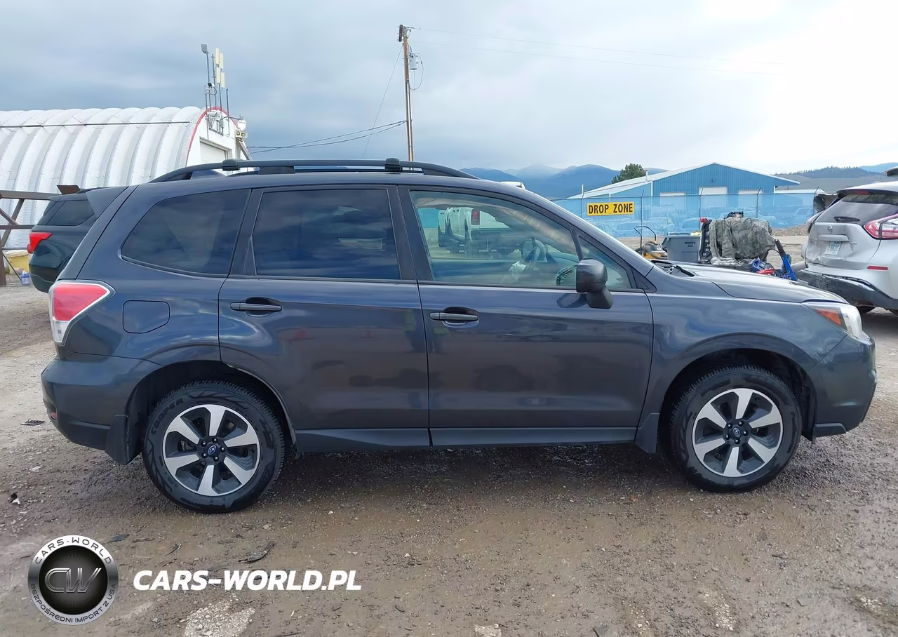 2017 Subaru Forester 2.5I Premium VIN:JF2SJAGCXHH576253 - 13