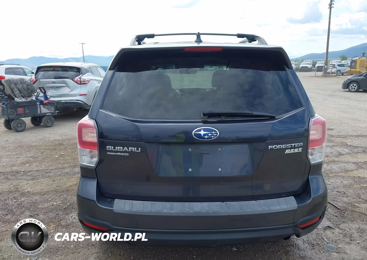 2017 Subaru Forester 2.5I Premium VIN:JF2SJAGCXHH576253 - 16