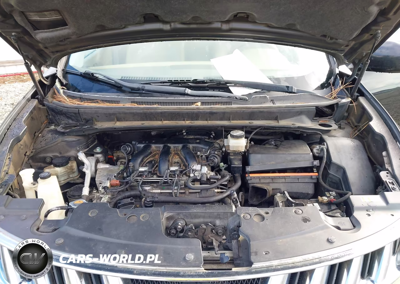 2009 Nissan Murano Sl VIN:JN8AZ18U29W030557 - 10