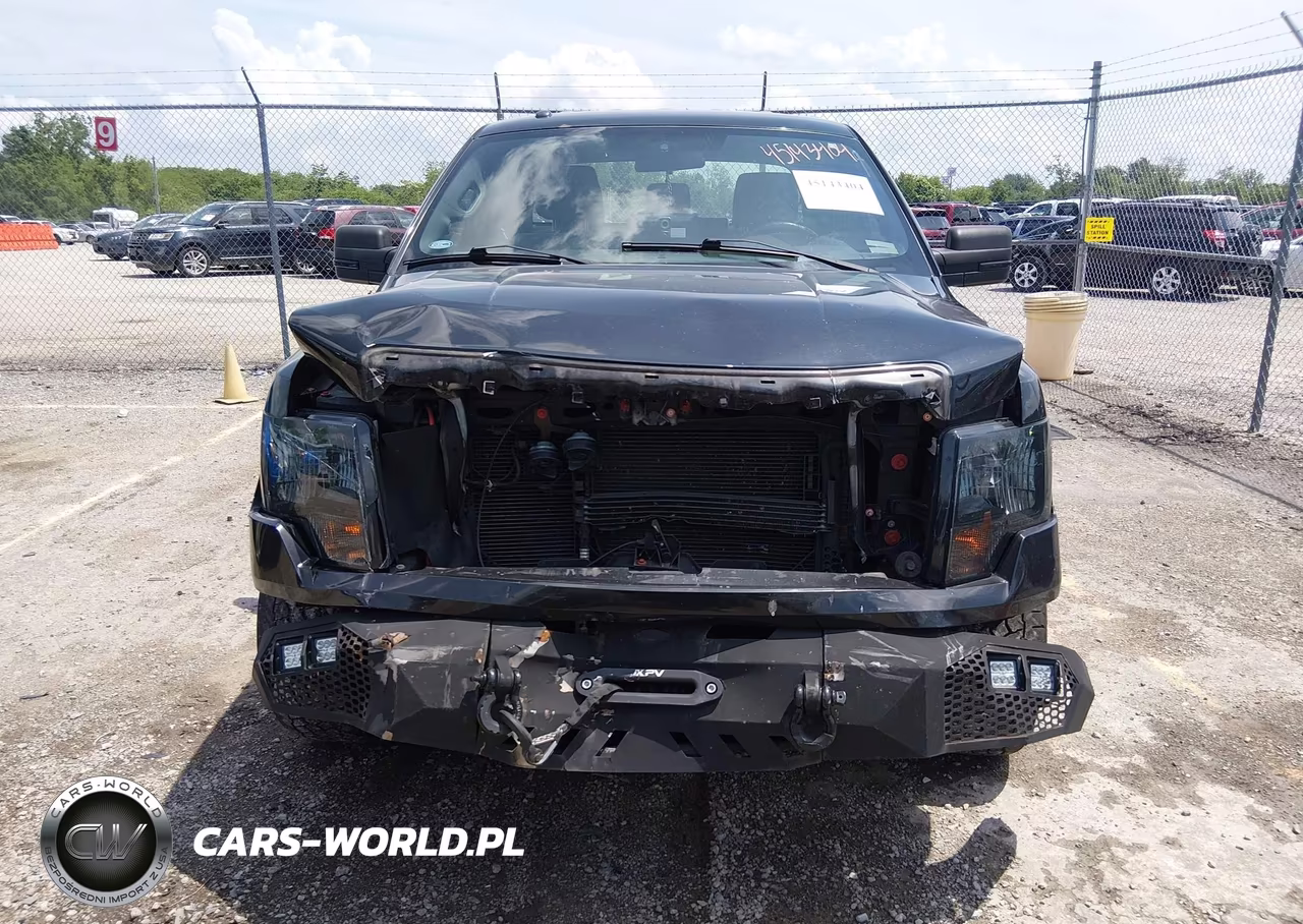 2013 Ford F-150 Stx VIN:1FTFX1EF7DKD87553 - 12