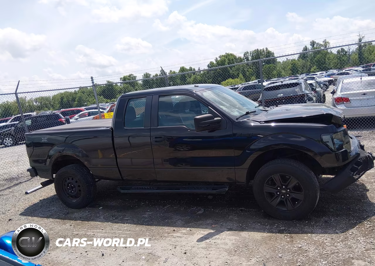 2013 Ford F-150 Stx VIN:1FTFX1EF7DKD87553 - 13