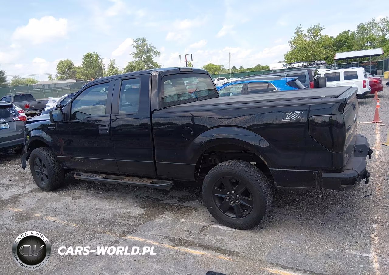 2013 Ford F-150 Stx VIN:1FTFX1EF7DKD87553 - 14