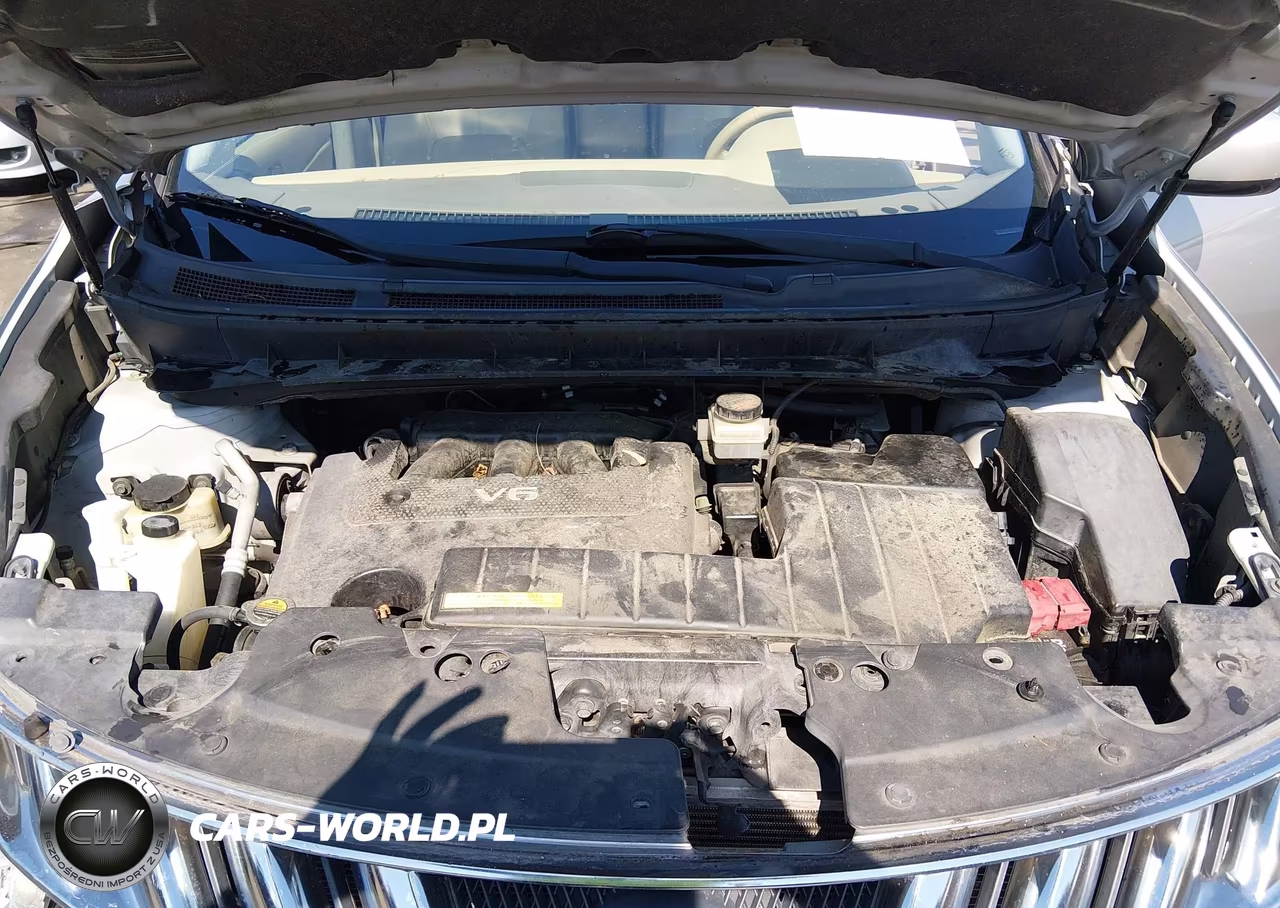 2010 Nissan Murano Le VIN:JN8AZ1MU8AW010226 - 10