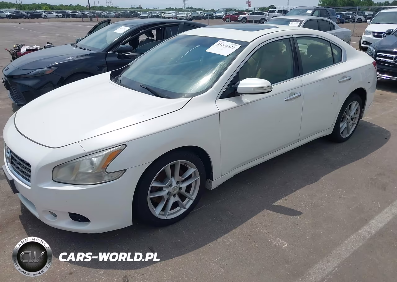 2009 Nissan Maxima 3.5 Sv VIN:1N4AA51E49C826019 - 2