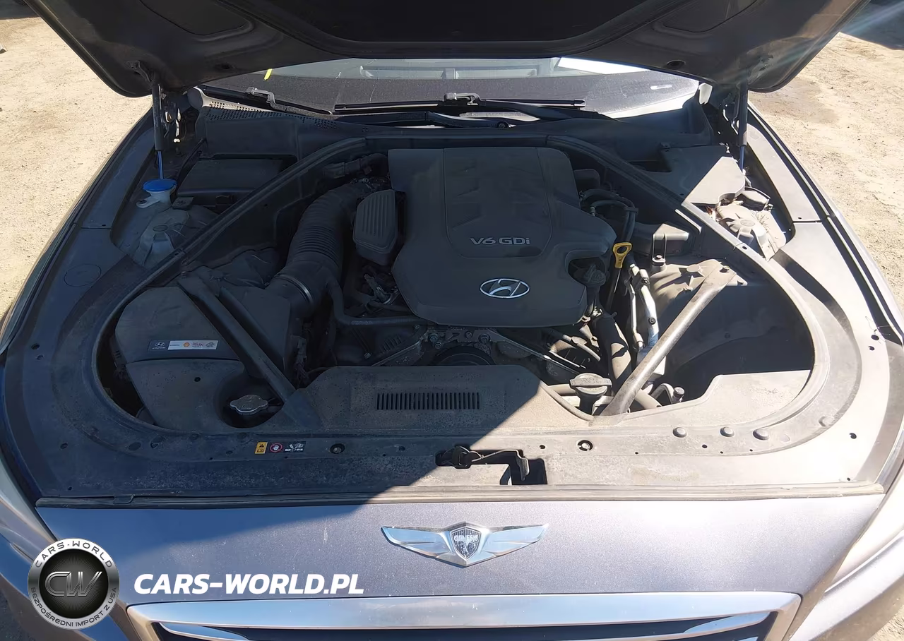 2015 Hyundai Genesis 3.8 VIN:KMHGN4JE3FU064080 - 10
