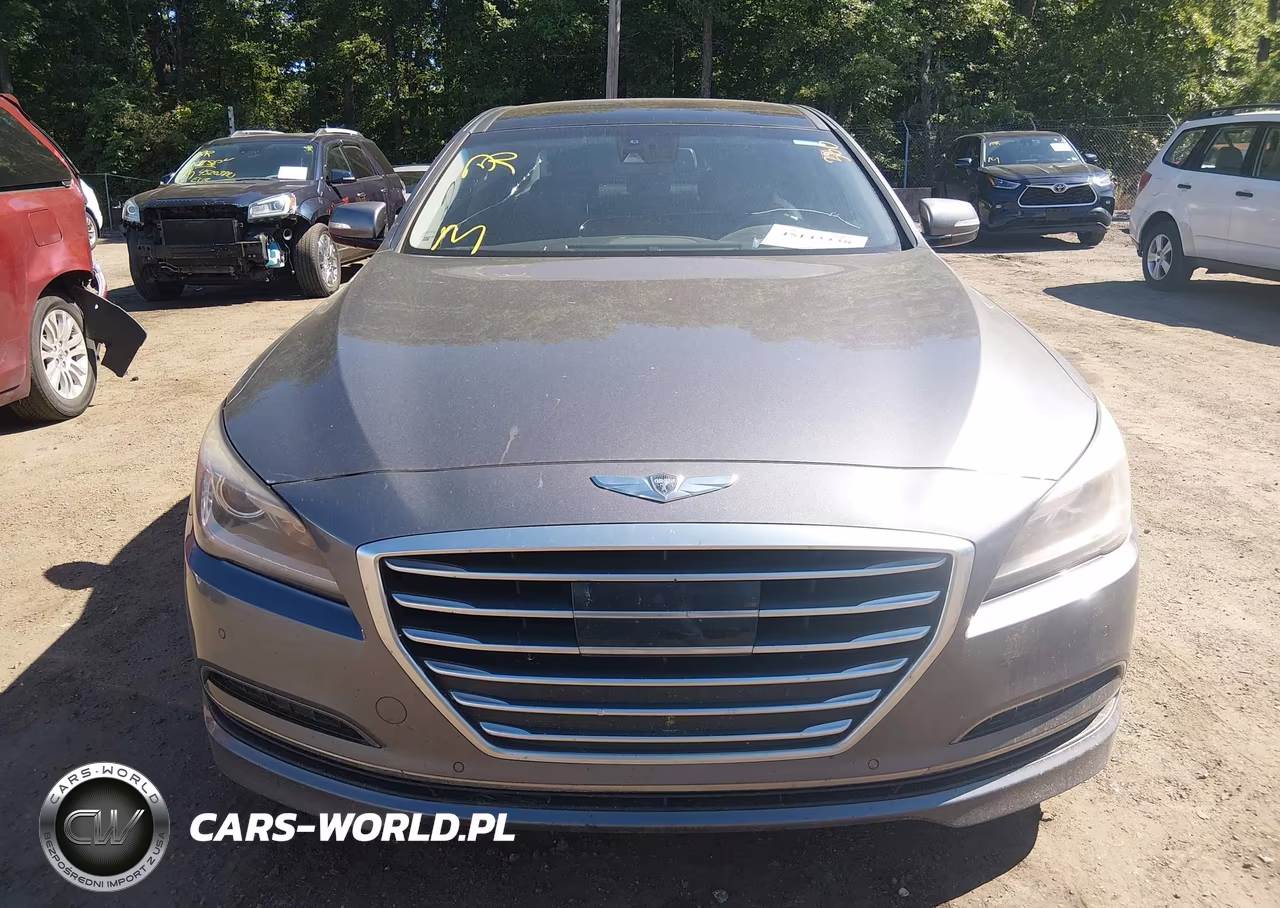 2015 Hyundai Genesis 3.8 VIN:KMHGN4JE3FU064080 - 12