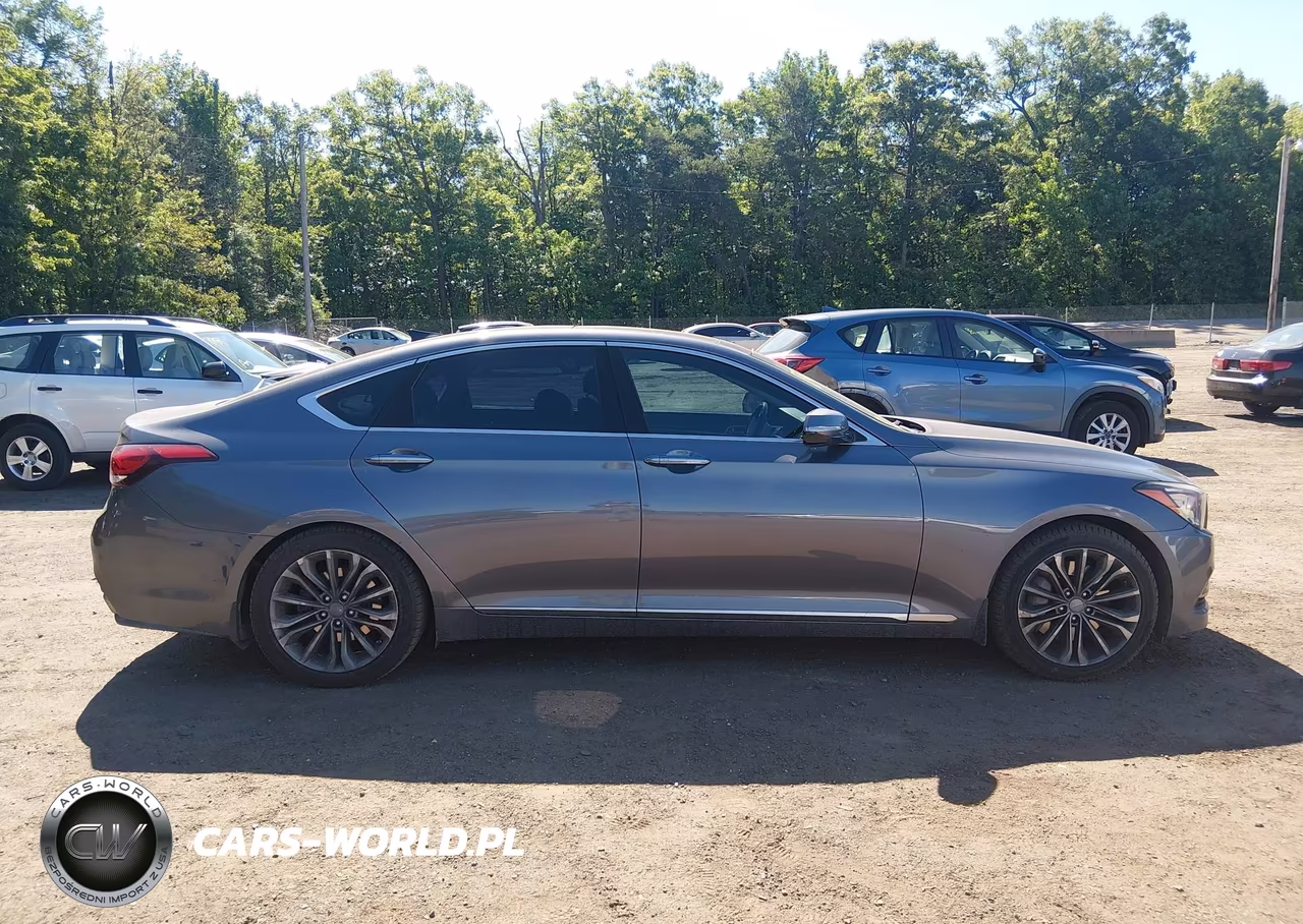 2015 Hyundai Genesis 3.8 VIN:KMHGN4JE3FU064080 - 13