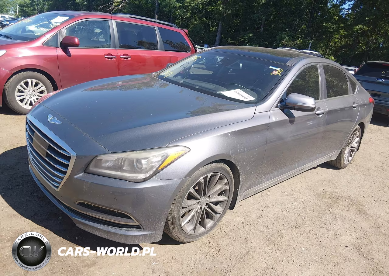 2015 Hyundai Genesis 3.8 VIN:KMHGN4JE3FU064080 - 2