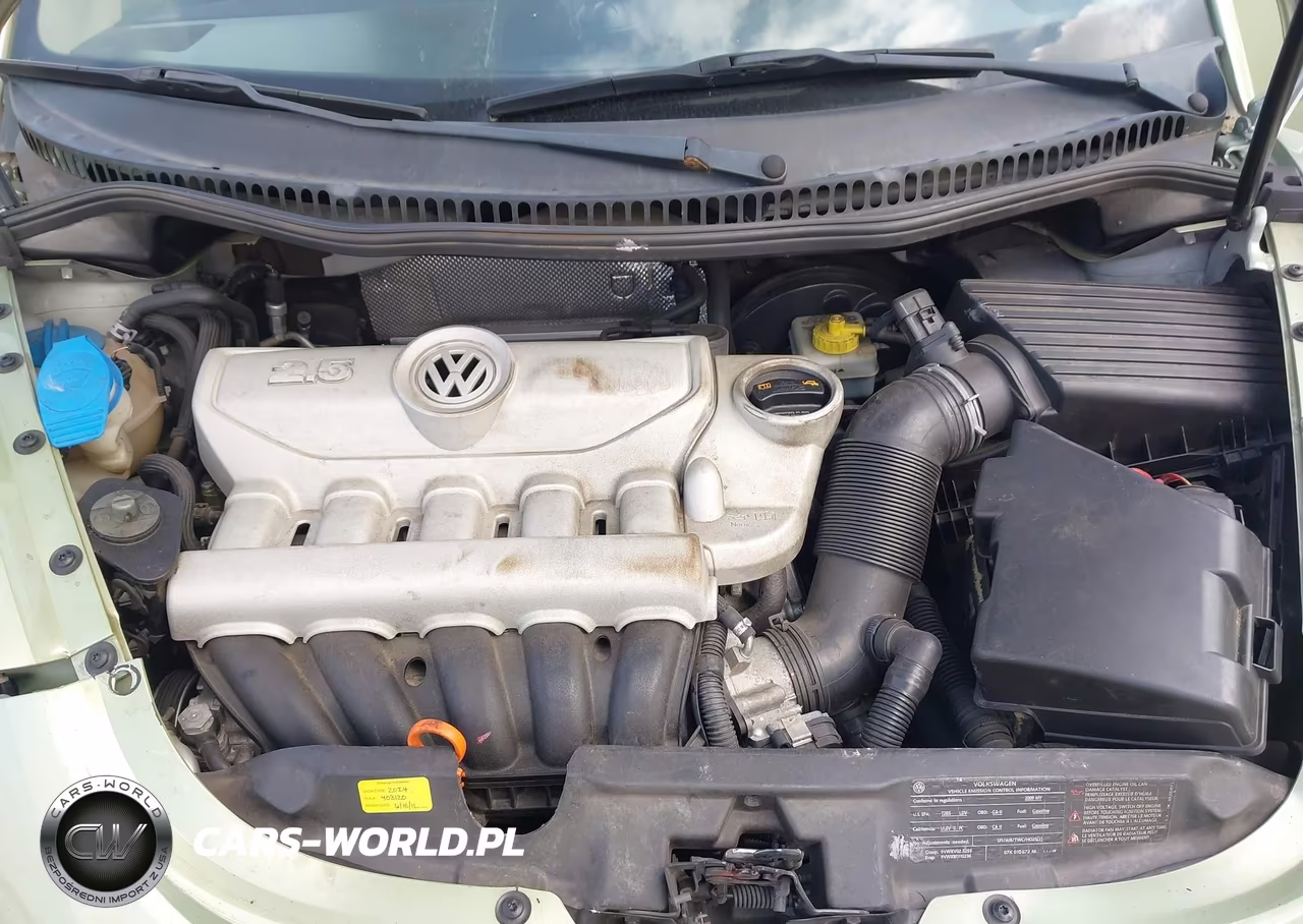 2009 Volkswagen New Beetle 2.5L VIN:3VWRF31Y89M407437 - 10