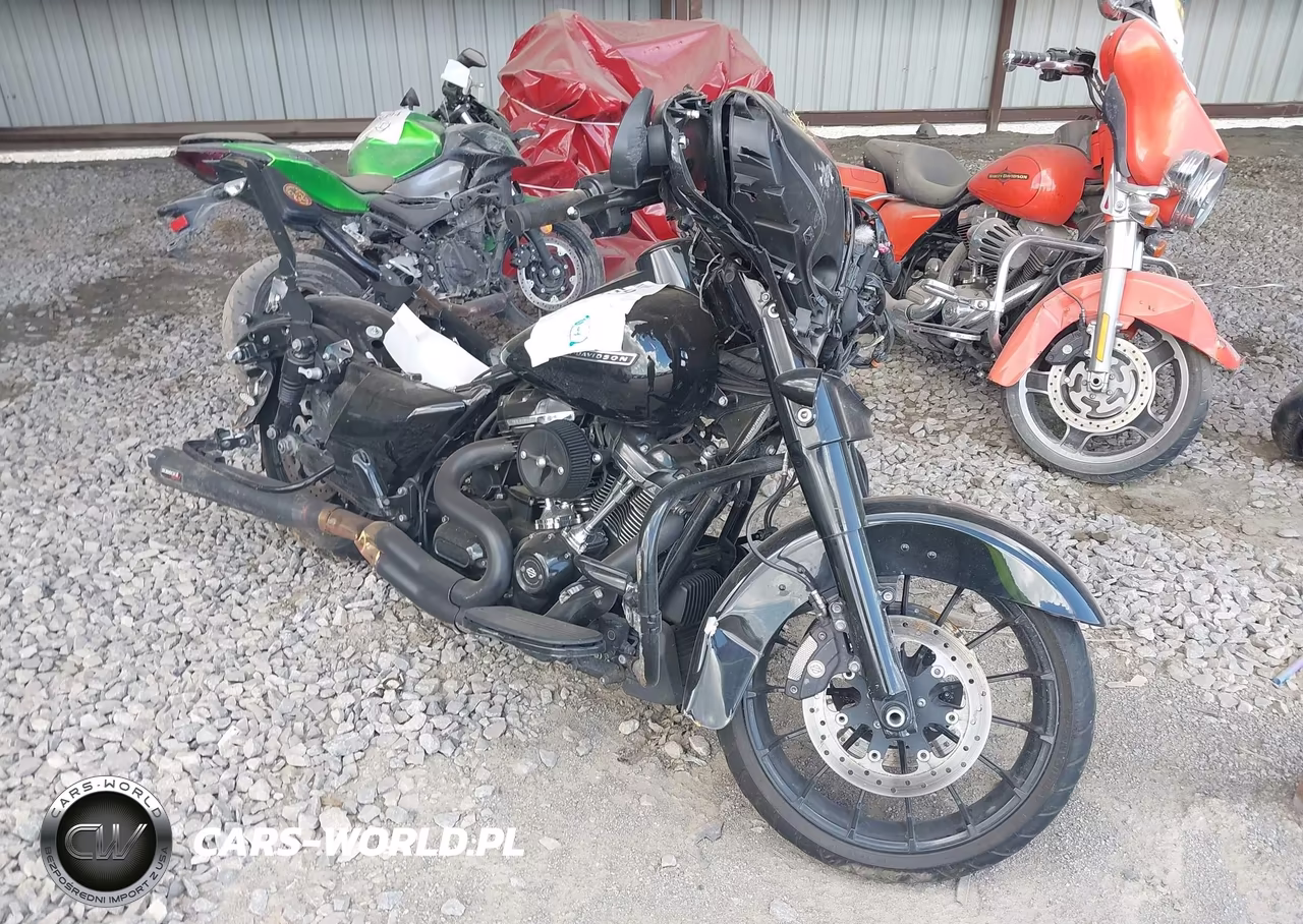 2019 Harley-Davidson Flhxs