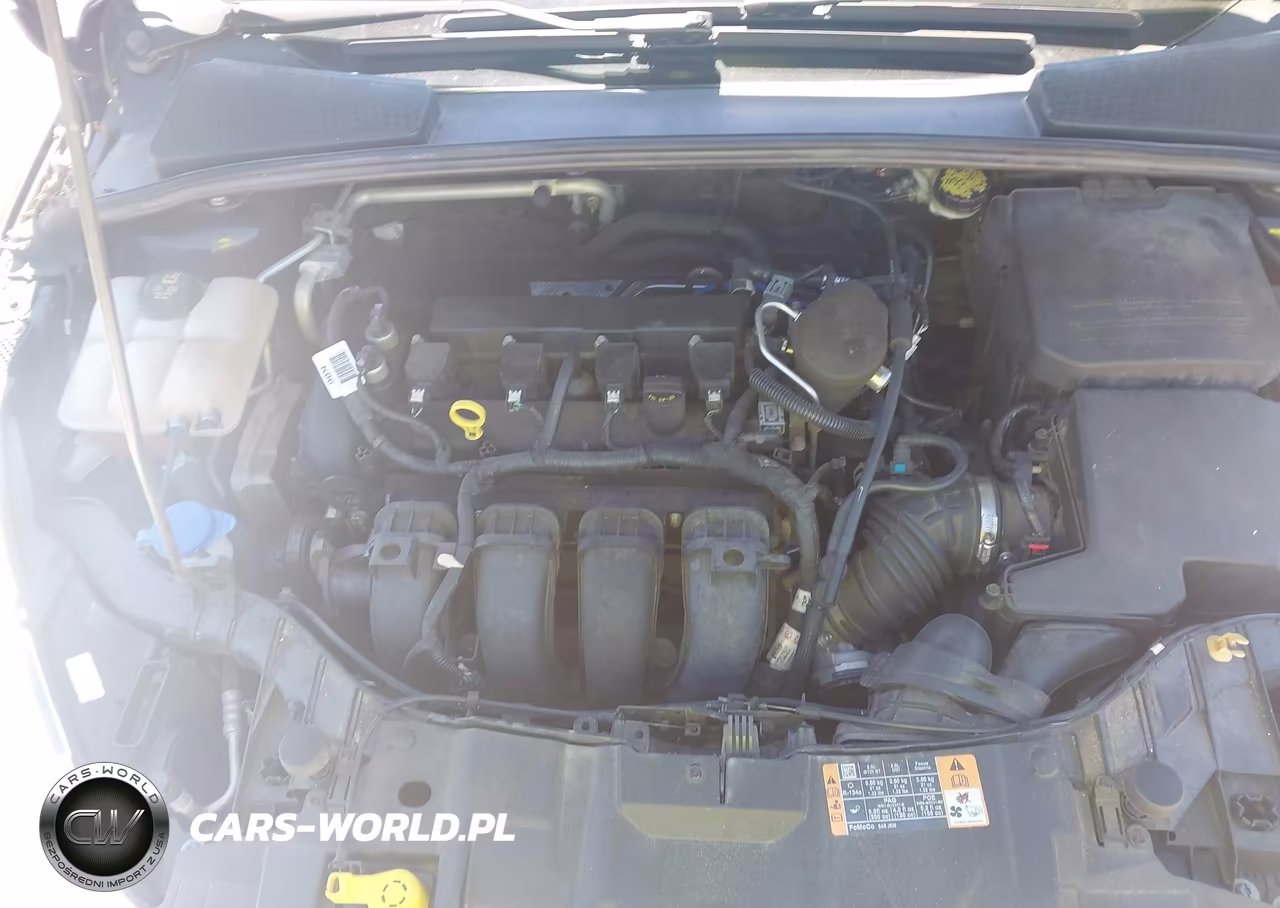 2016 Ford Focus Se VIN:1FADP3F23GL201185 - 10