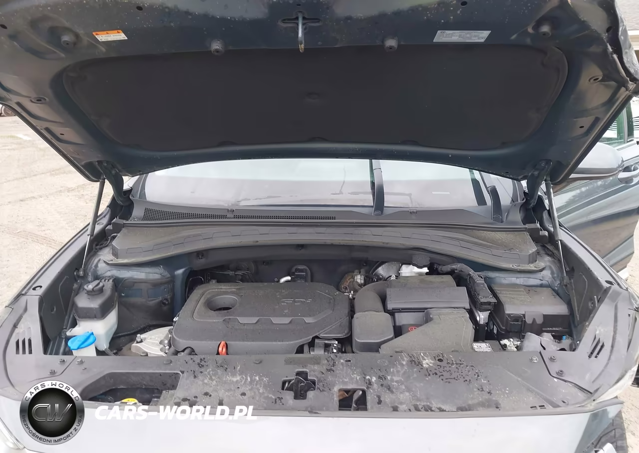 2020 Hyundai Santa Fe Sel VIN:5NMS3CAD2LH193615 - 10
