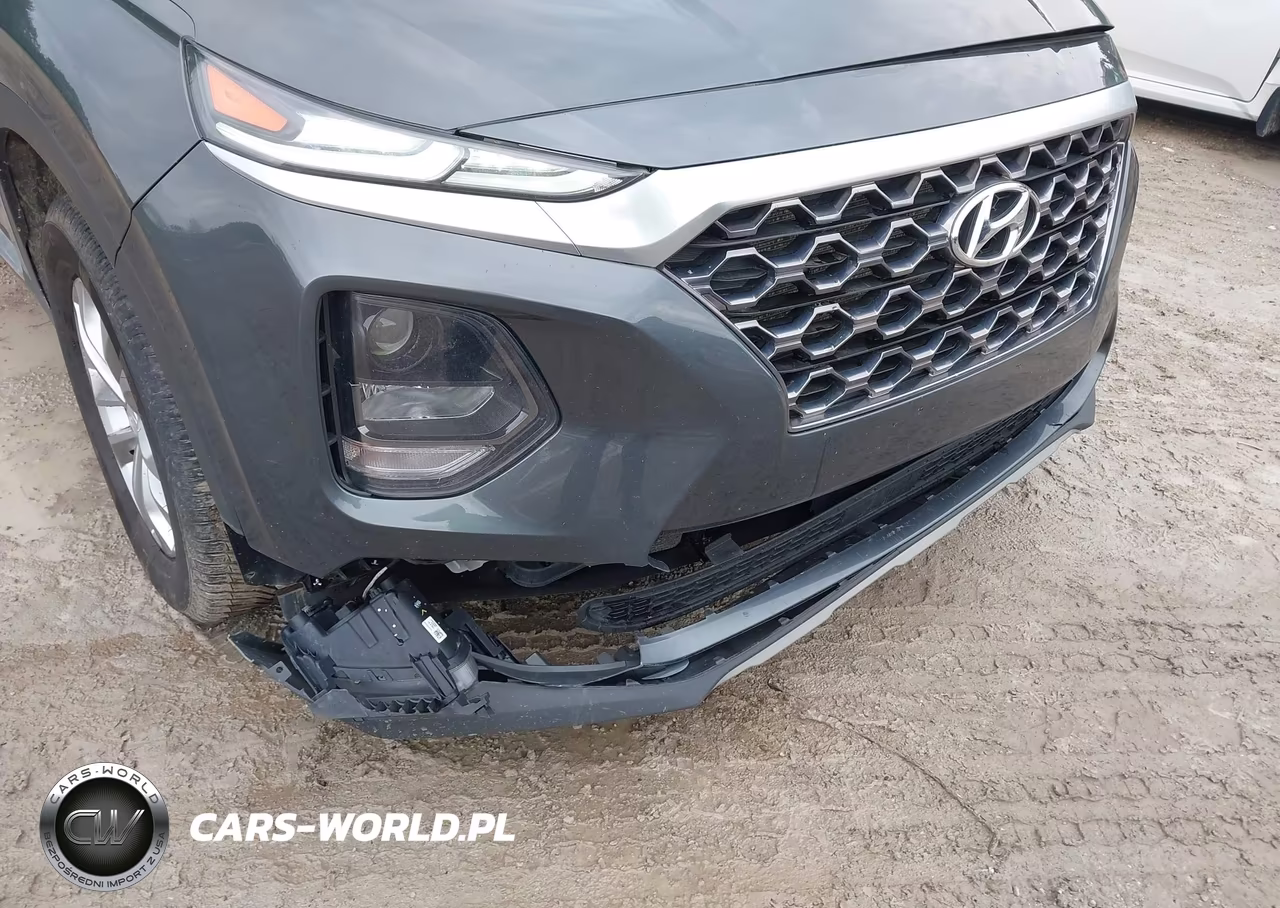 2020 Hyundai Santa Fe Sel VIN:5NMS3CAD2LH193615 - 17