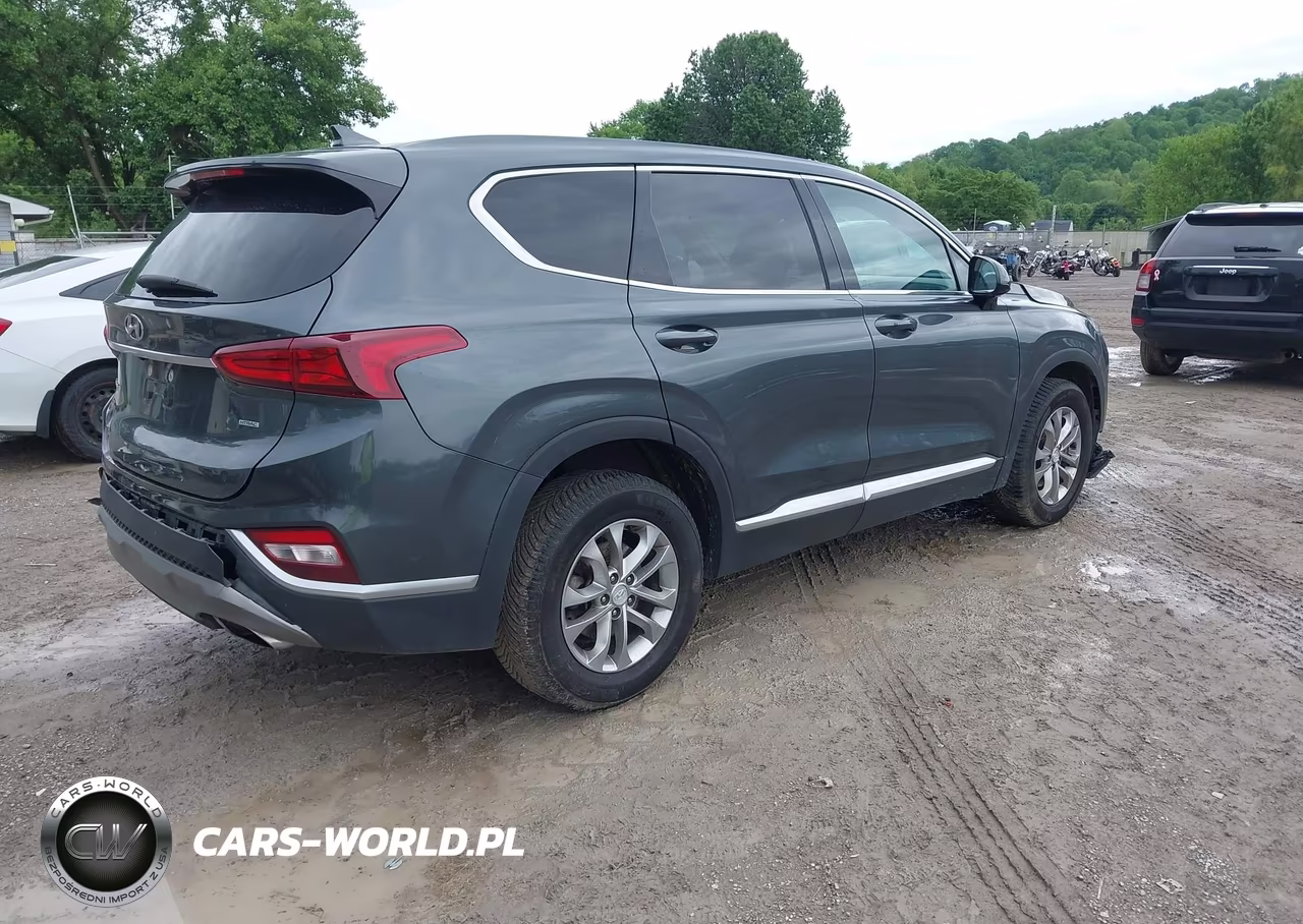 2020 Hyundai Santa Fe Sel VIN:5NMS3CAD2LH193615 - 4