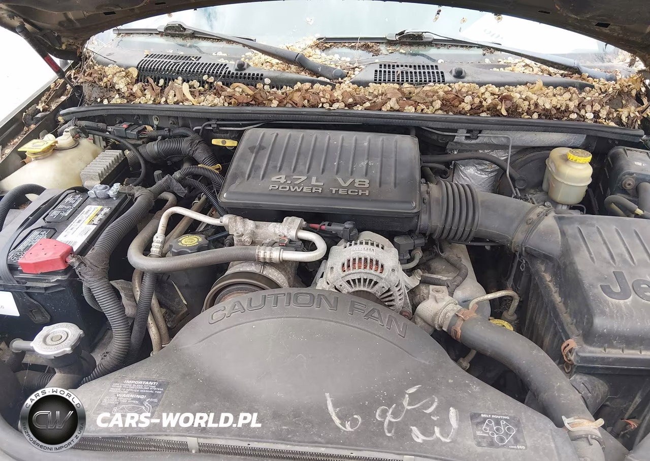1999 Jeep Grand Cherokee Laredo VIN:1J4GW58N2XC729503 - 10
