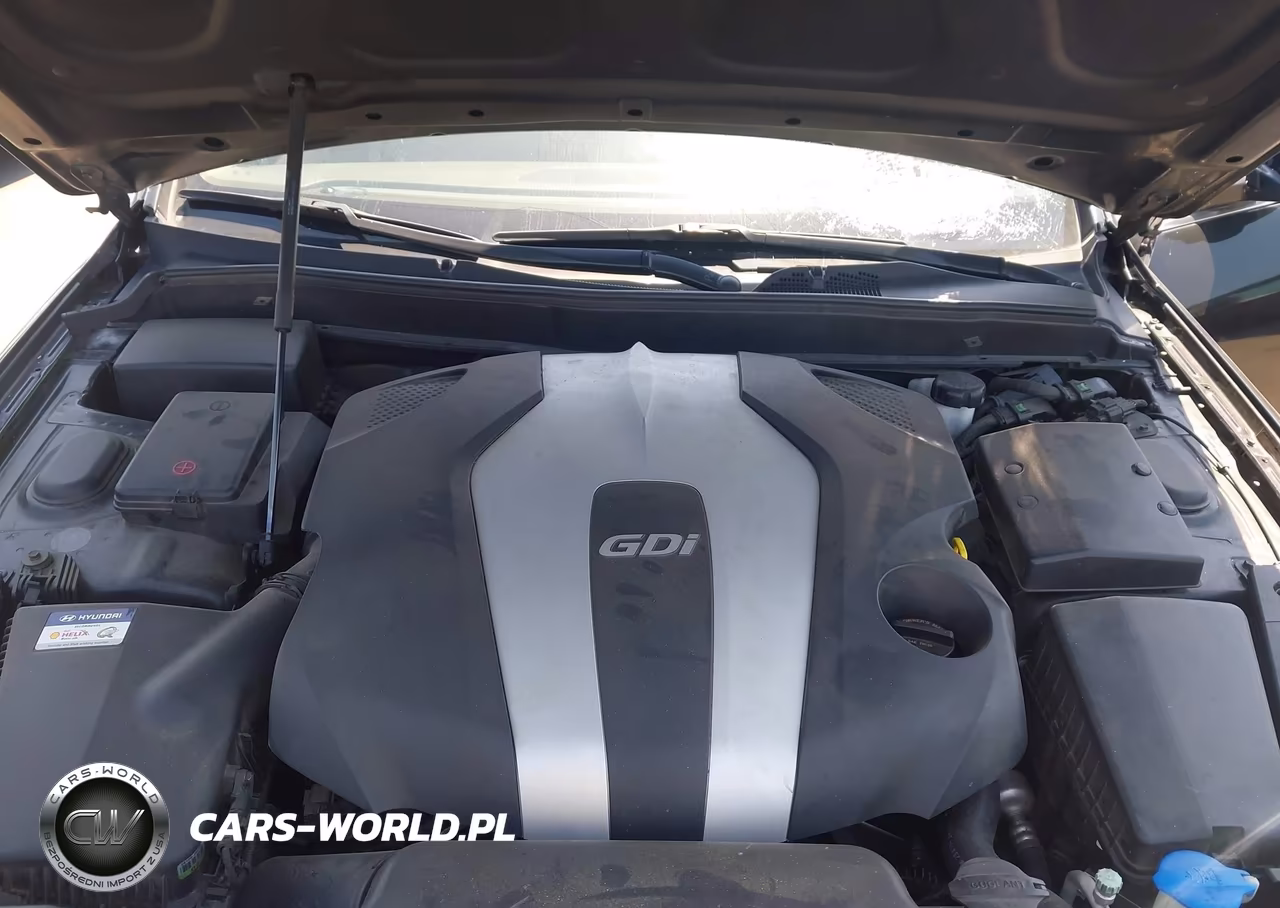 2013 Hyundai Genesis 3.8 VIN:KMHGC4DDXDU234022 - 10