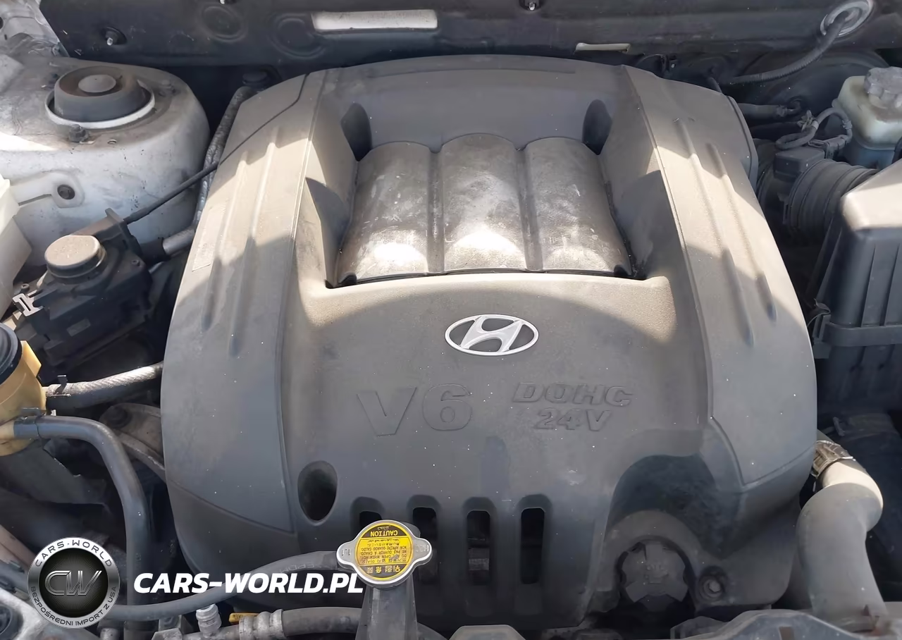 2006 Hyundai Santa Fe Gls VIN:KM8SC73D06U045086 - 10