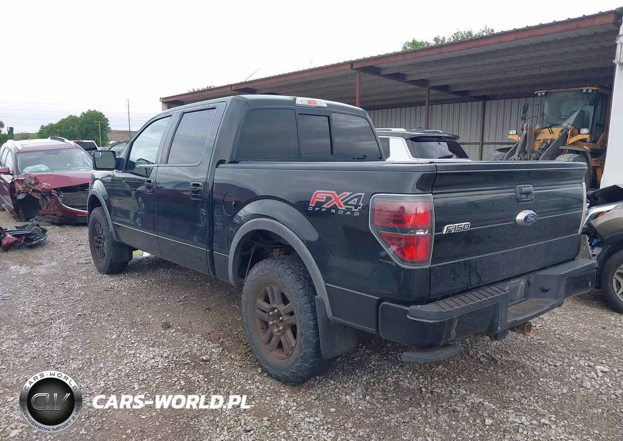 2013 Ford F-150 Fx4 VIN:1FTFW1ET7DFC24015 - 3