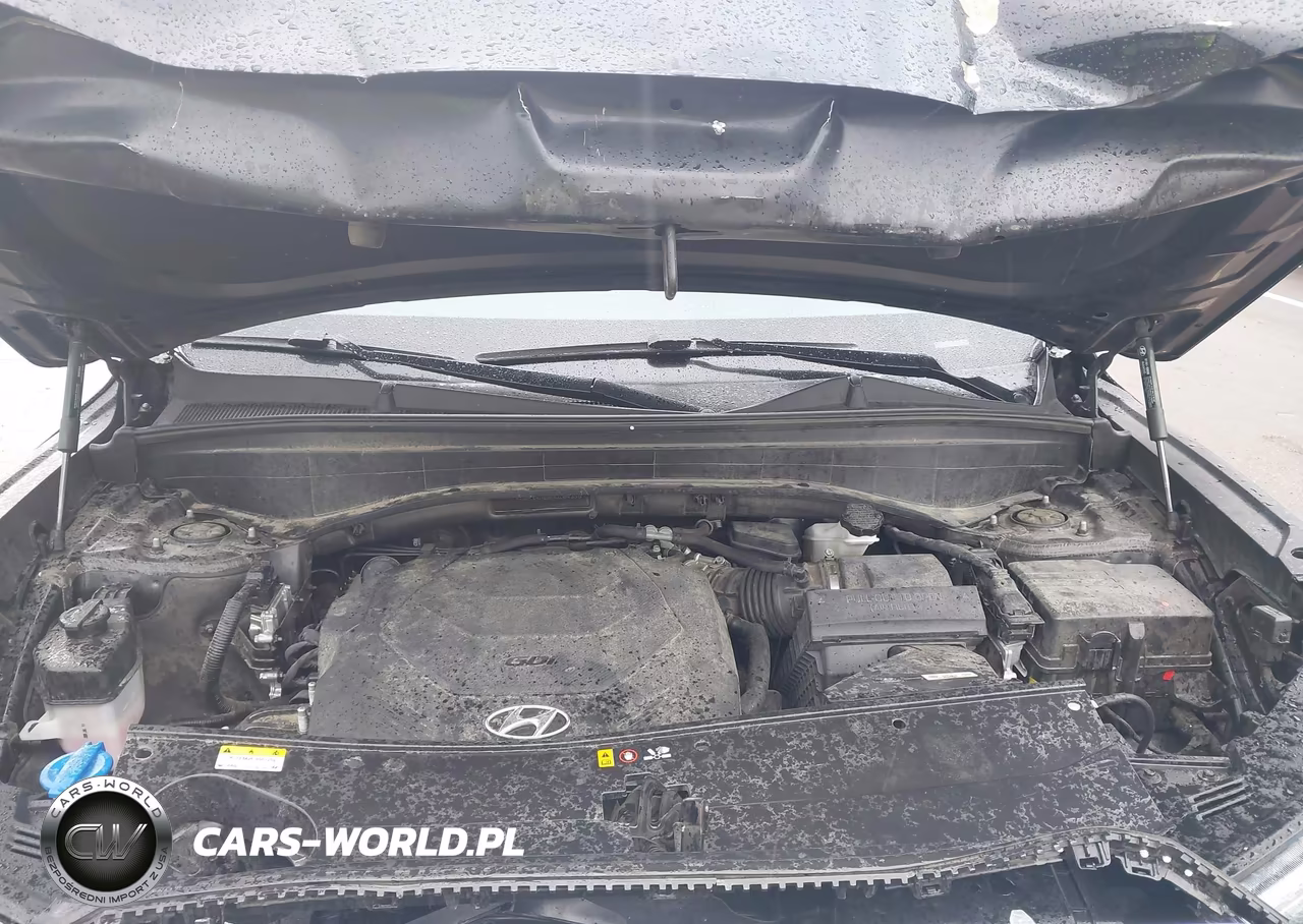 2021 Hyundai Palisade Se VIN:KM8R14HE9MU204396 - 10