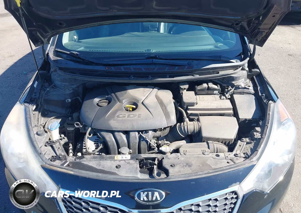2016 Kia Forte Ex VIN:KNAFZ4A86G5530396 - 10