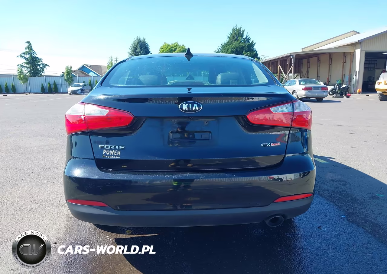 2016 Kia Forte Ex VIN:KNAFZ4A86G5530396 - 16
