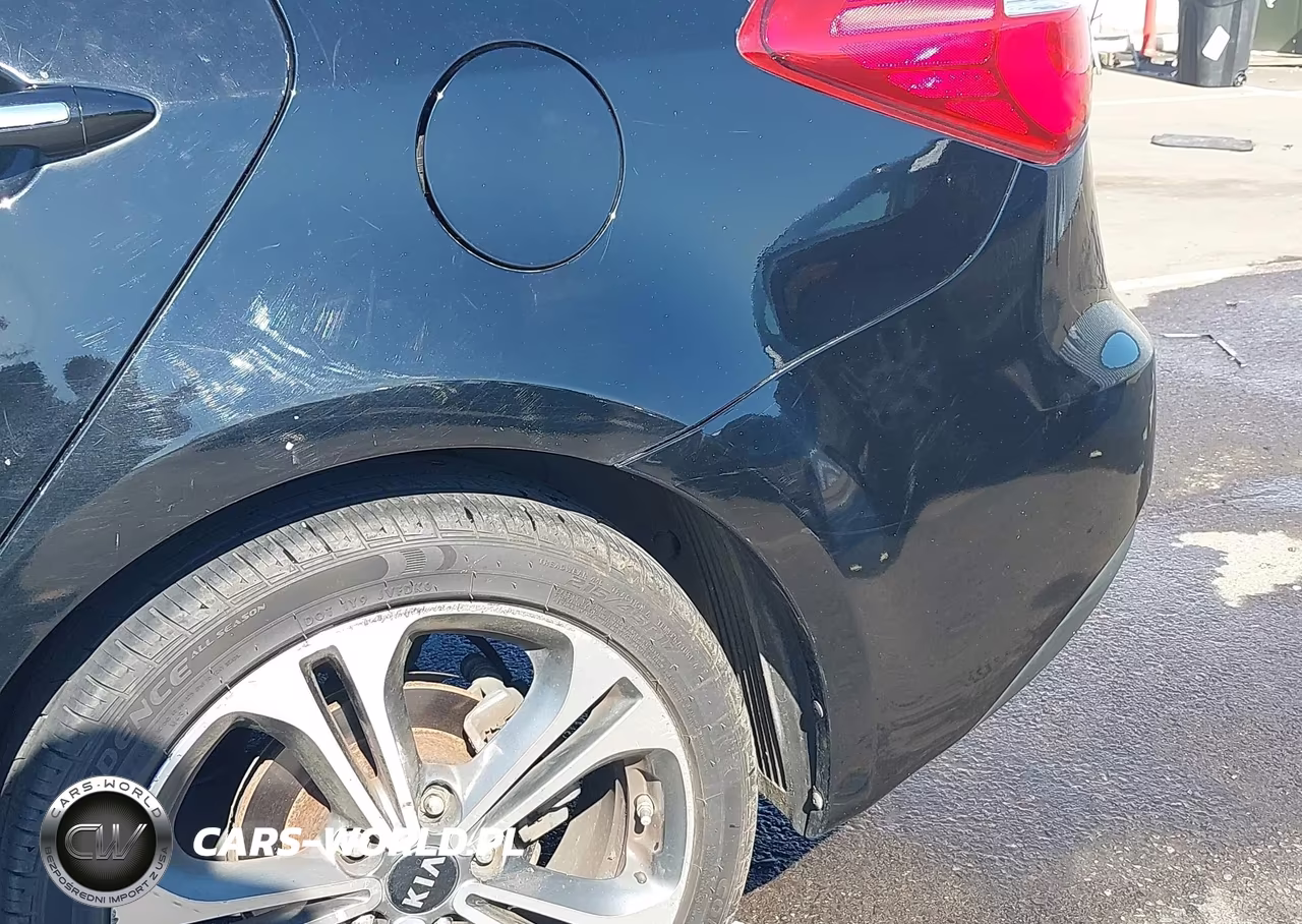 2016 Kia Forte Ex VIN:KNAFZ4A86G5530396 - 17