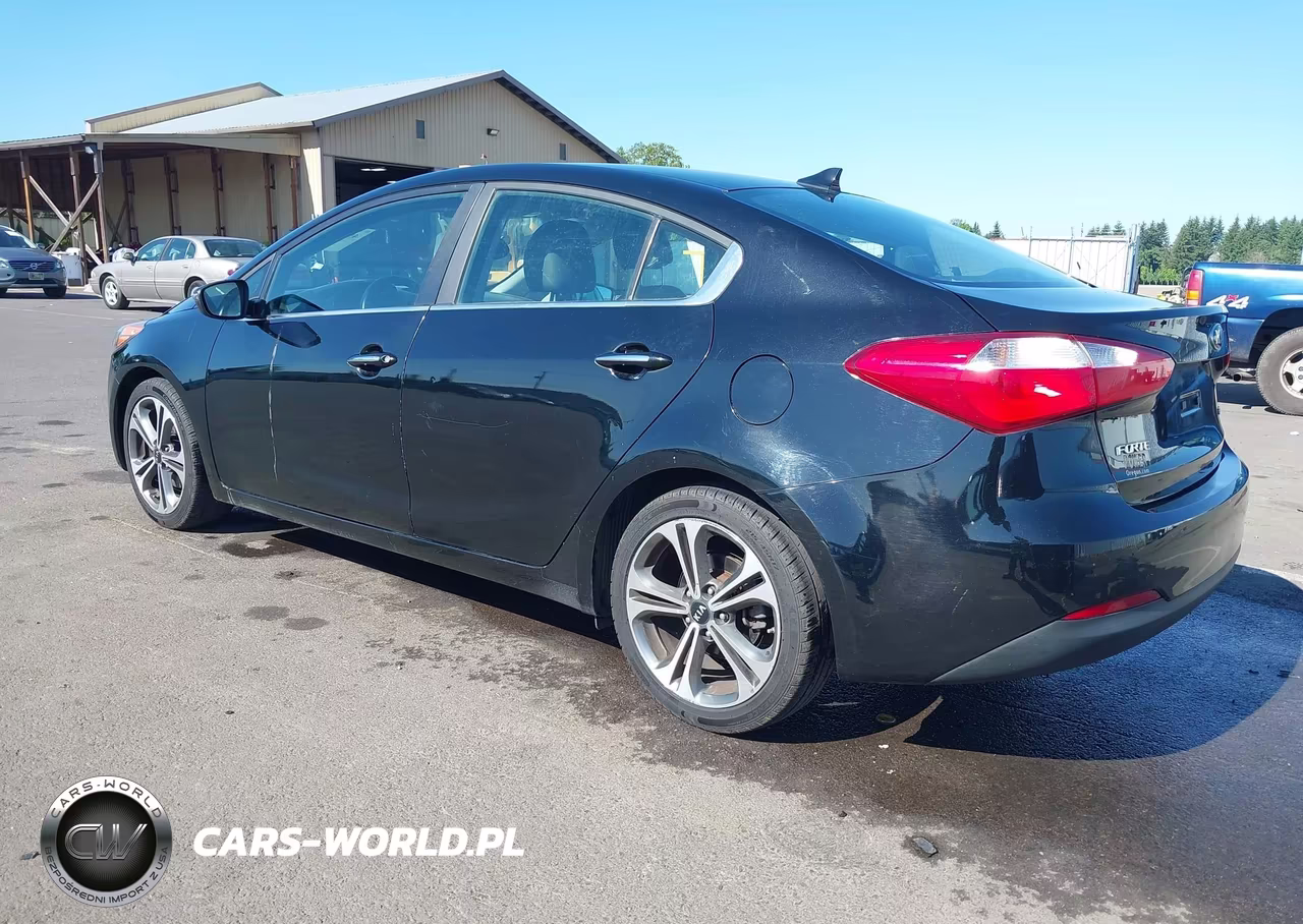 2016 Kia Forte Ex VIN:KNAFZ4A86G5530396 - 3