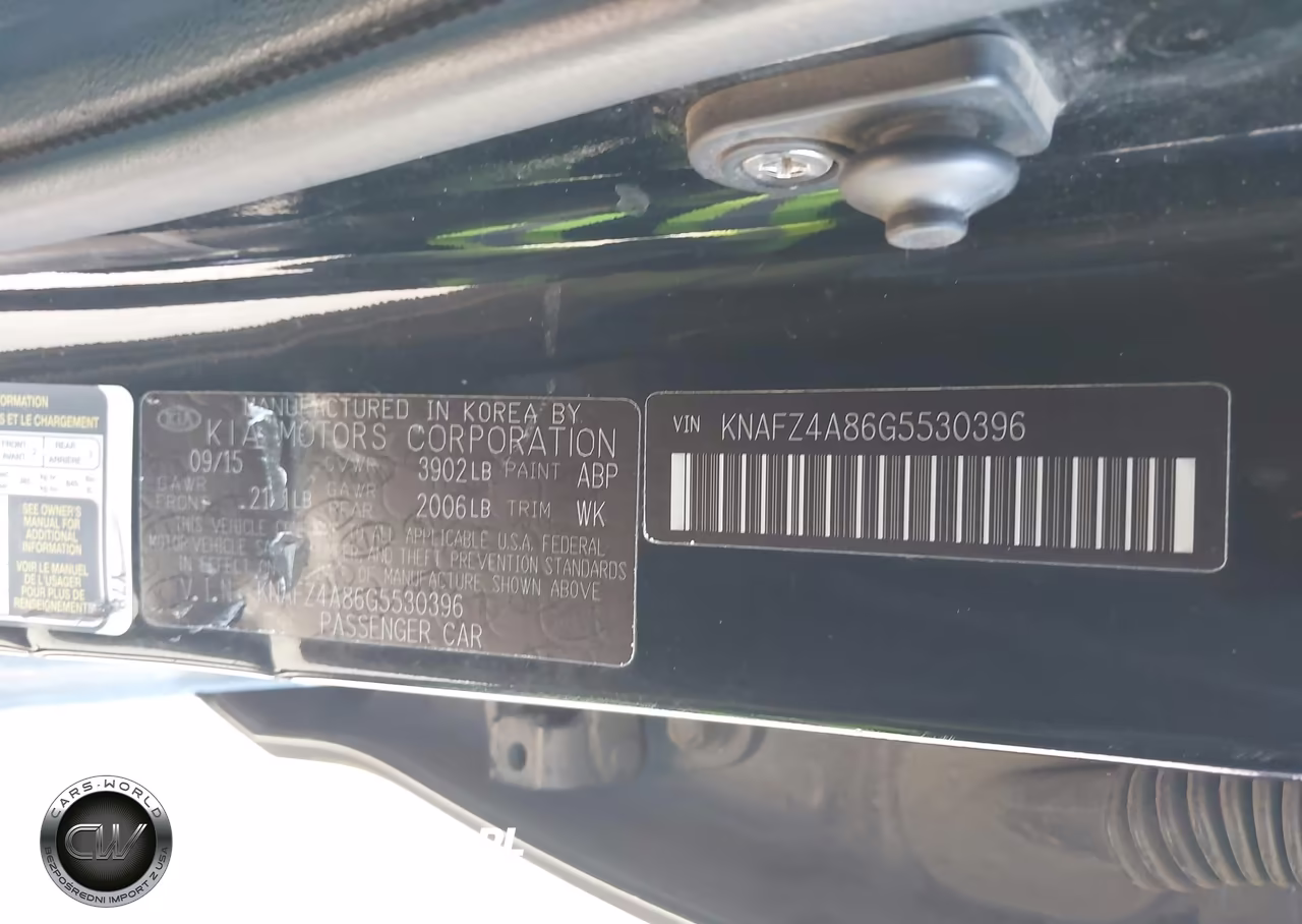 2016 Kia Forte Ex VIN:KNAFZ4A86G5530396 - 9
