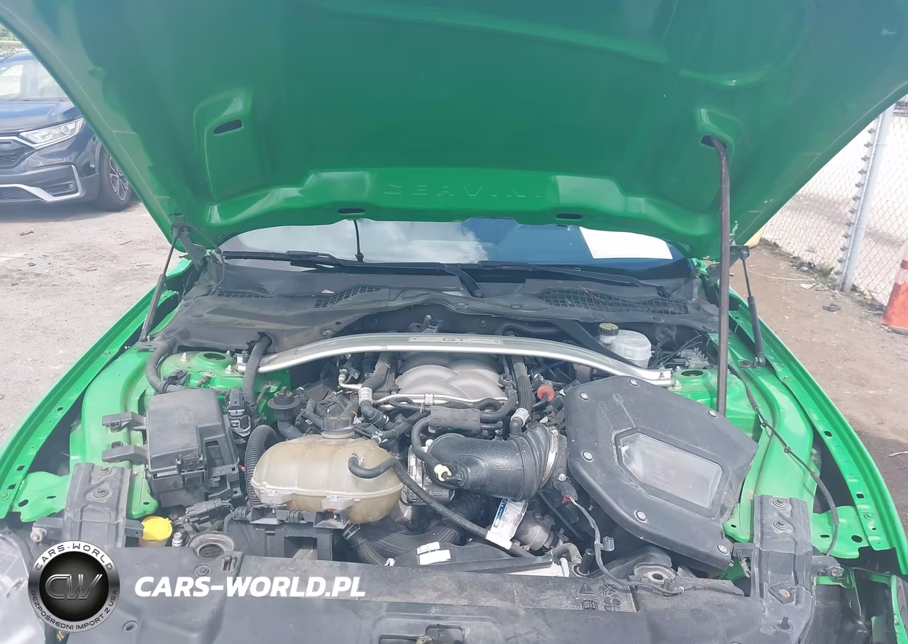 2019 Ford Mustang Gt VIN:1FA6P8CFXK5116807 - 10