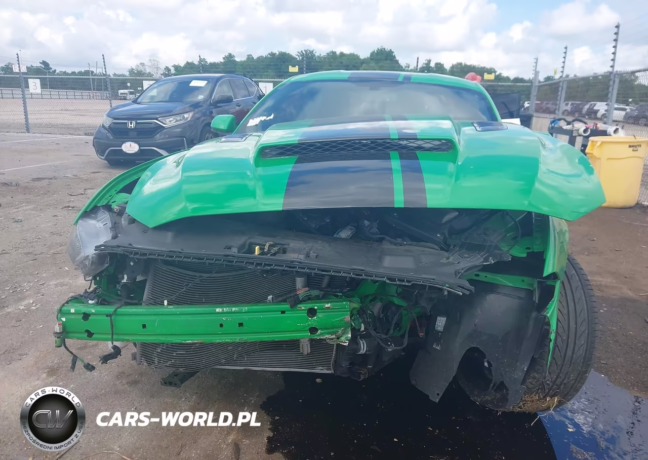 2019 Ford Mustang Gt VIN:1FA6P8CFXK5116807 - 12