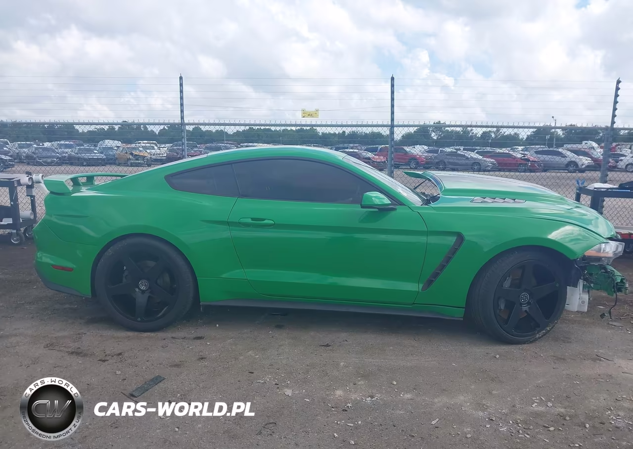 2019 Ford Mustang Gt VIN:1FA6P8CFXK5116807 - 13