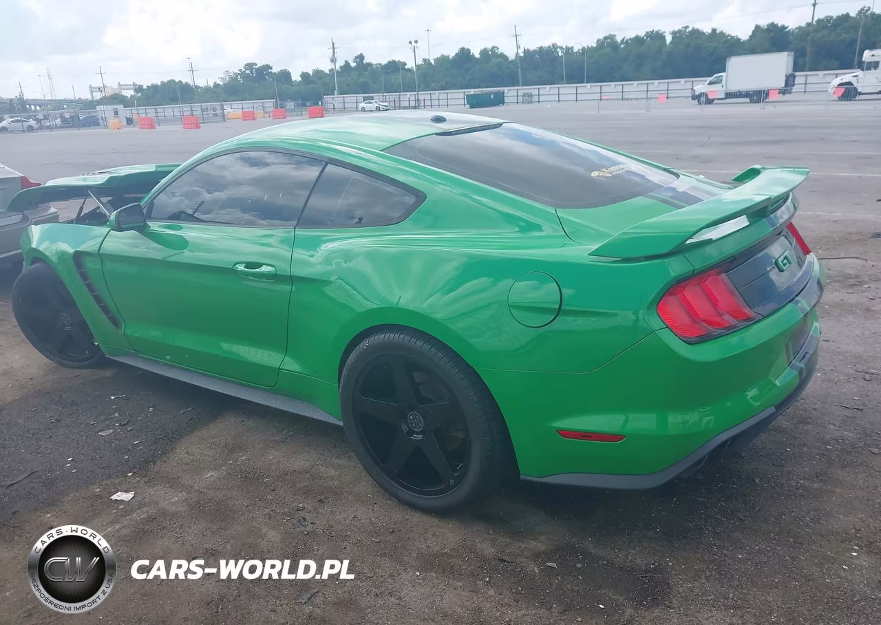 2019 Ford Mustang Gt VIN:1FA6P8CFXK5116807 - 14
