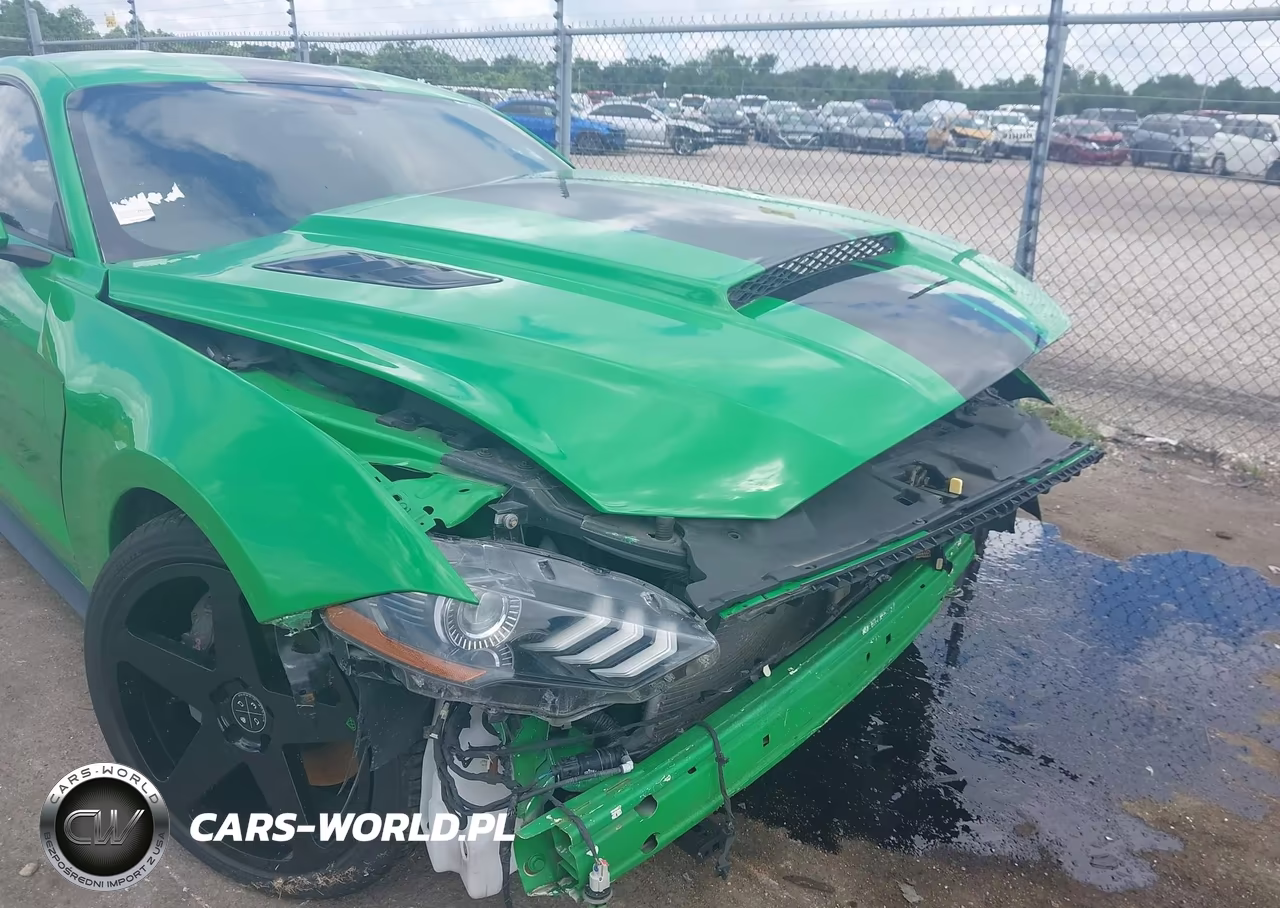 2019 Ford Mustang Gt VIN:1FA6P8CFXK5116807 - 17