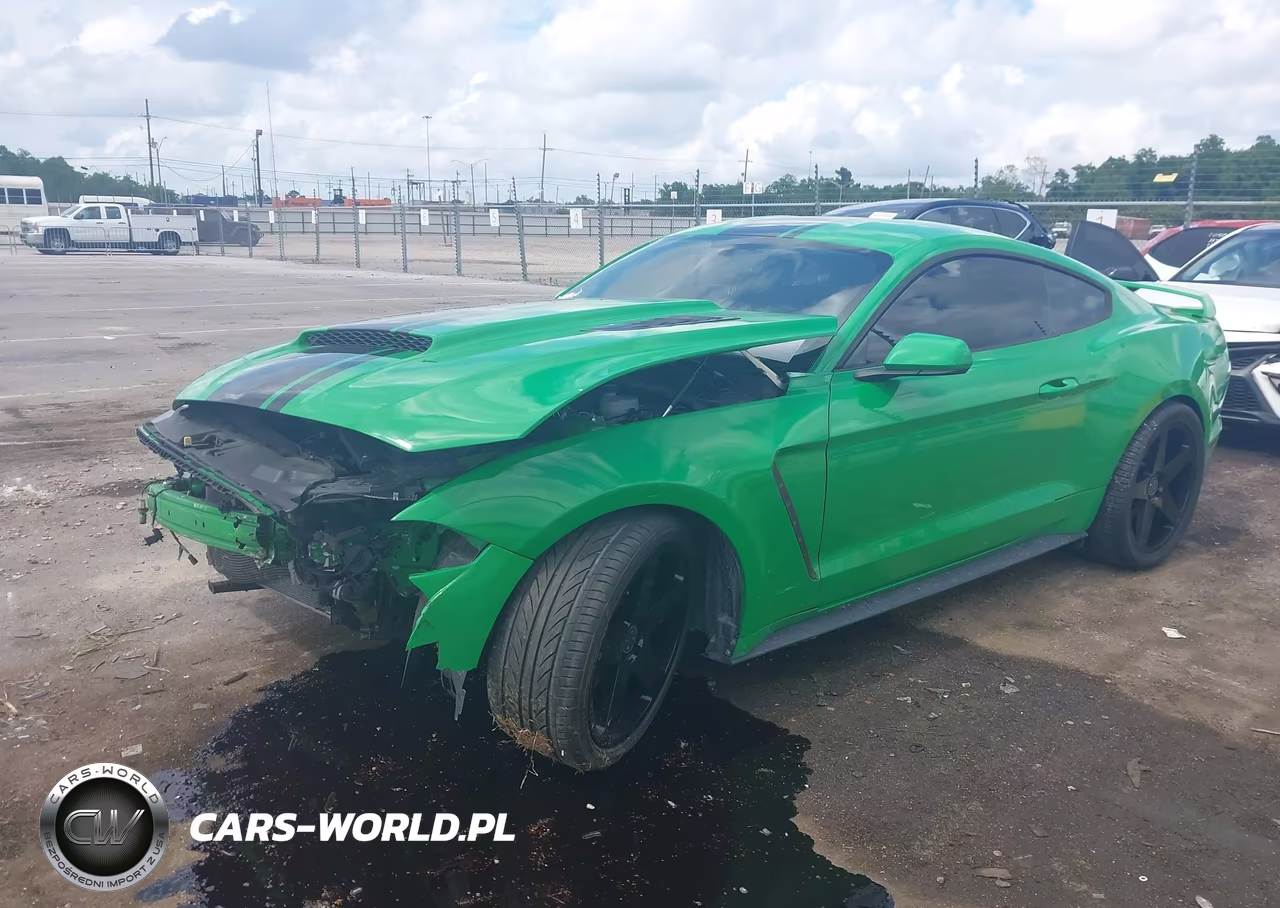 2019 Ford Mustang Gt VIN:1FA6P8CFXK5116807 - 2