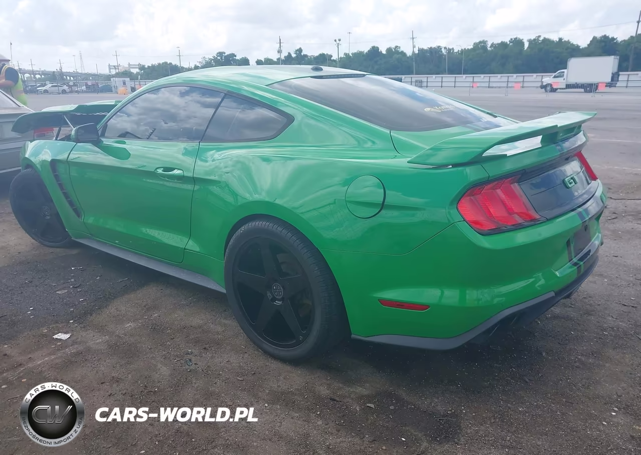 2019 Ford Mustang Gt VIN:1FA6P8CFXK5116807 - 3