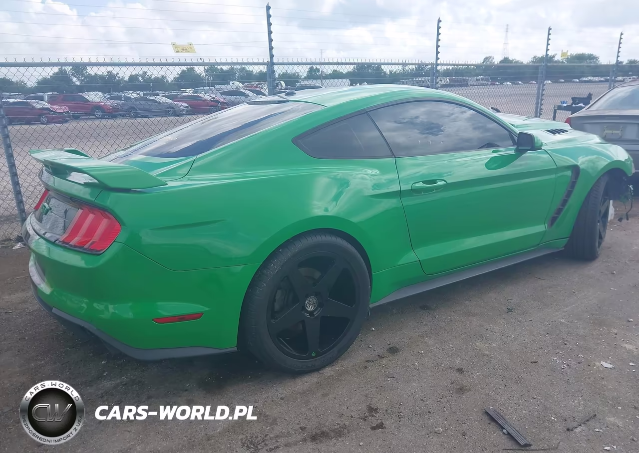 2019 Ford Mustang Gt VIN:1FA6P8CFXK5116807 - 4