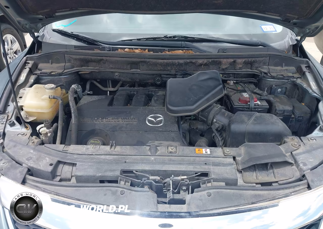 2011 Mazda Cx-9 Grand Touring VIN:JM3TB3DV4B0302657 - 10