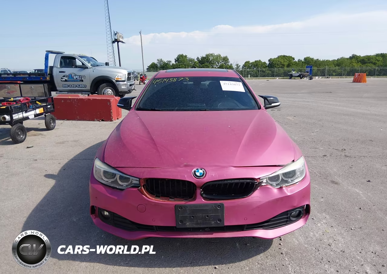 2016 BMW 428I Gran Coupe VIN:WBA4A9C5XGG696195 - 12