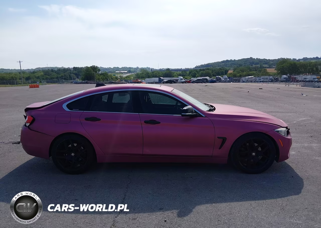 2016 BMW 428I Gran Coupe VIN:WBA4A9C5XGG696195 - 13