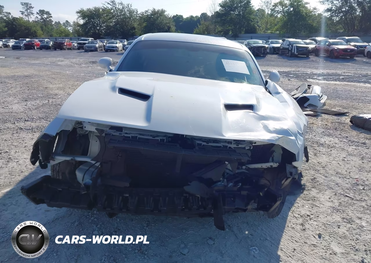2019 Dodge Challenger Sxt VIN:2C3CDZAG7KH620543 - 12