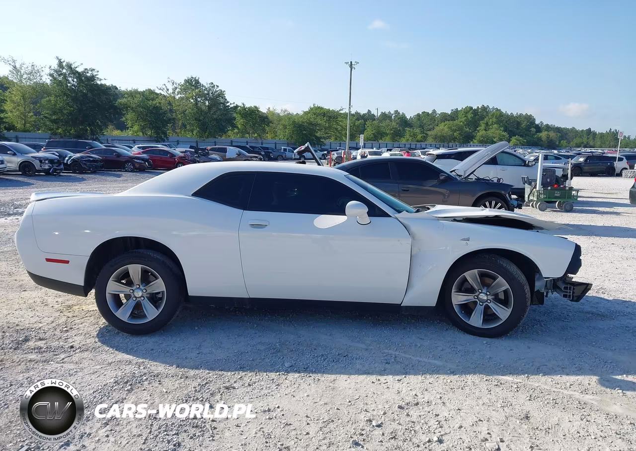 2019 Dodge Challenger Sxt VIN:2C3CDZAG7KH620543 - 13
