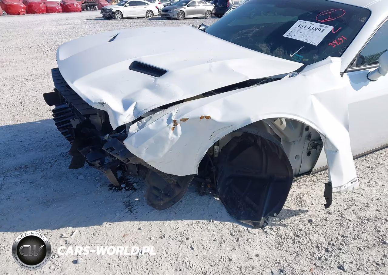 2019 Dodge Challenger Sxt VIN:2C3CDZAG7KH620543 - 6