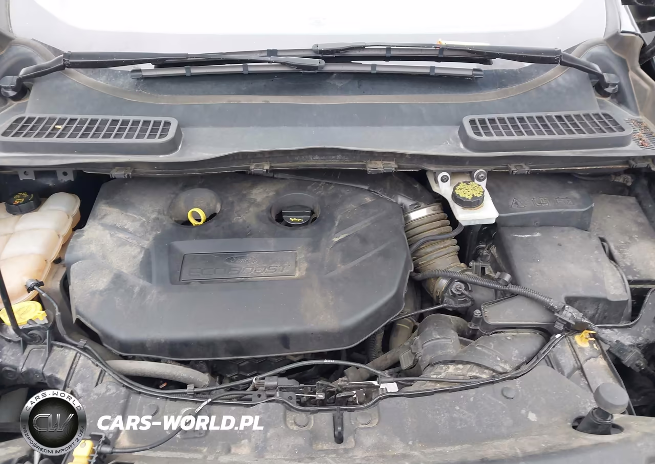 2016 Ford Escape Se VIN:1FMCU9G98GUC11486 - 10
