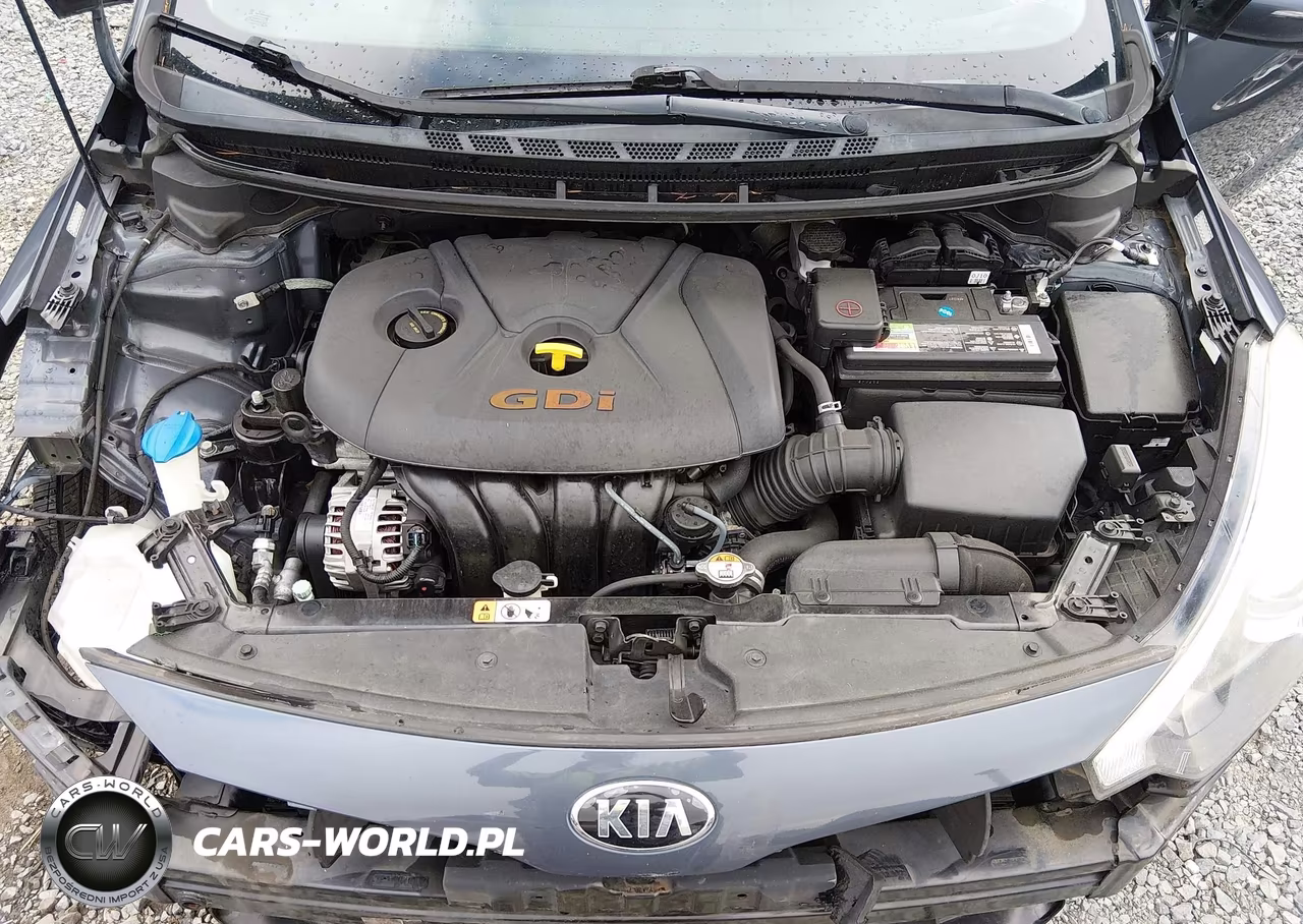 2016 Kia Forte Ex VIN:KNAFZ4A86G5557212 - 10