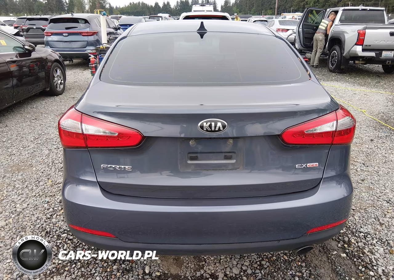 2016 Kia Forte Ex VIN:KNAFZ4A86G5557212 - 17