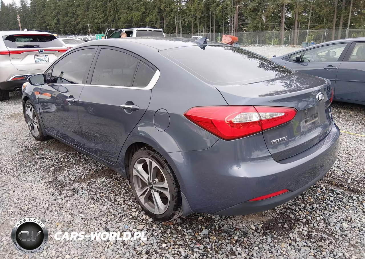 2016 Kia Forte Ex VIN:KNAFZ4A86G5557212 - 3