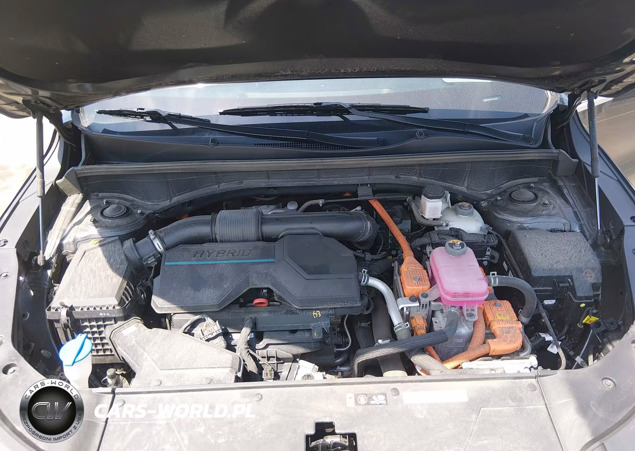 2025 Kia Sorento Hybrid Sx Prestige VIN:KNDRKDJG4S5354291 - 10