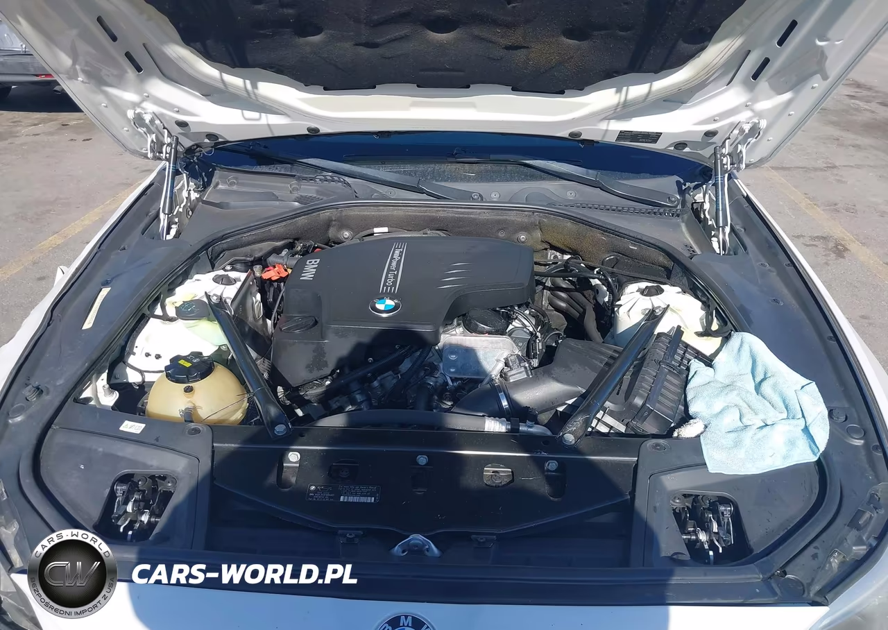 2014 BMW 528I VIN:WBA5A5C50ED505413 - 10